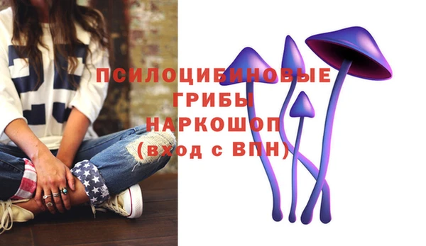 прущие грибы Мегион