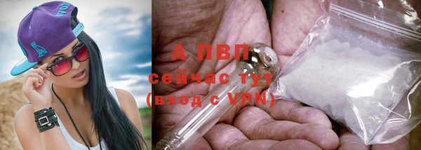 прущие грибы Мегион