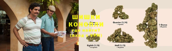 прущие грибы Мегион