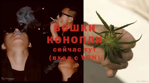 прущие грибы Мегион