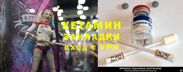 прущие грибы Мегион